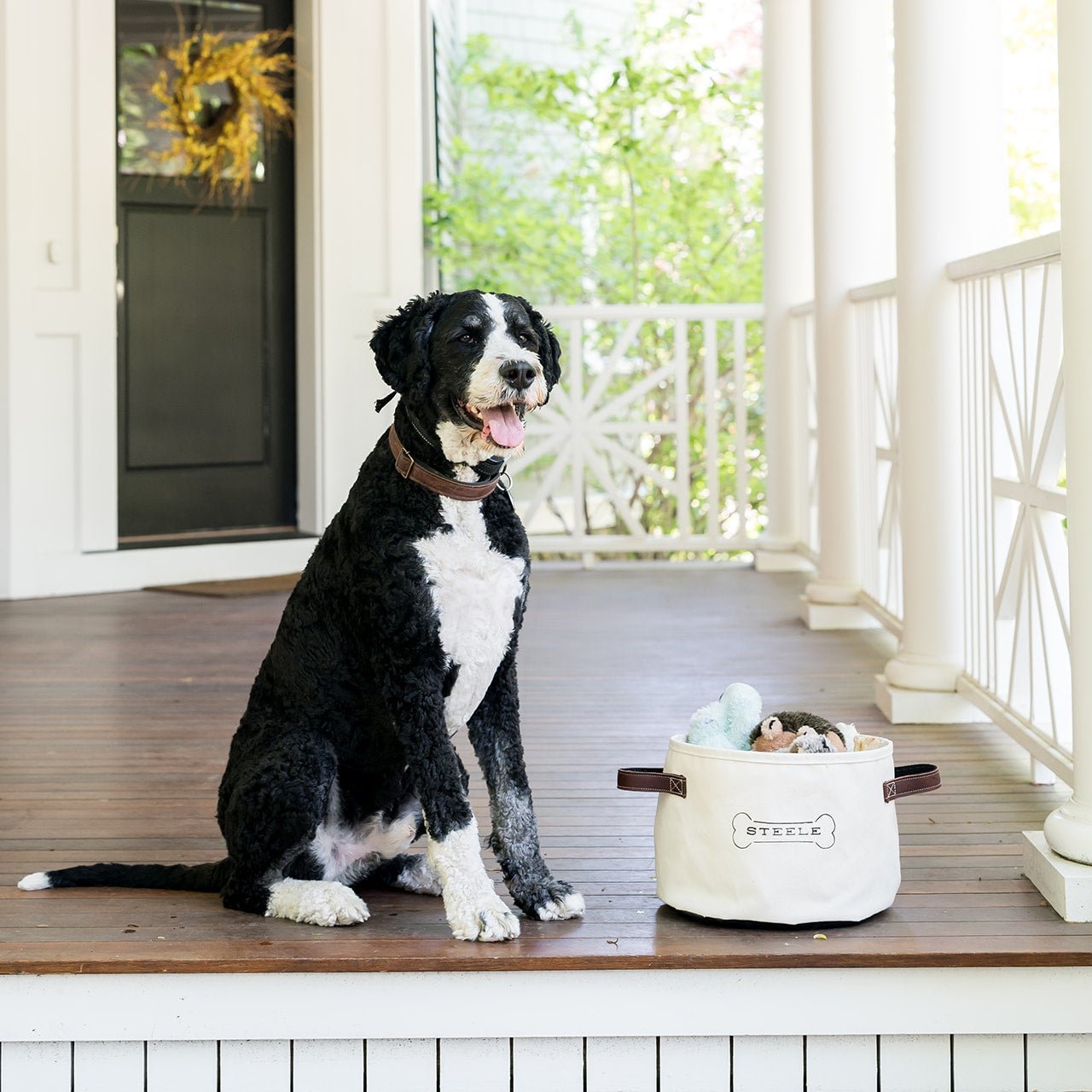 Dog Toy Basket