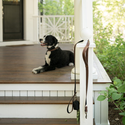 Dog Leash & Poop Bag Holder