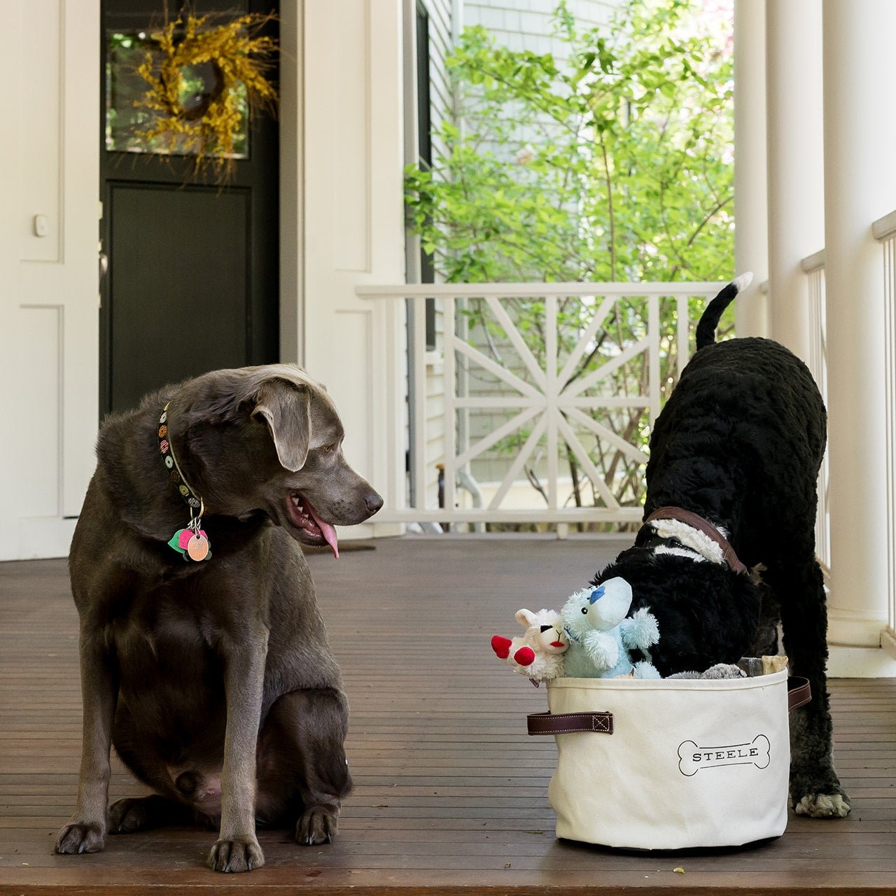 Dog Toy Basket